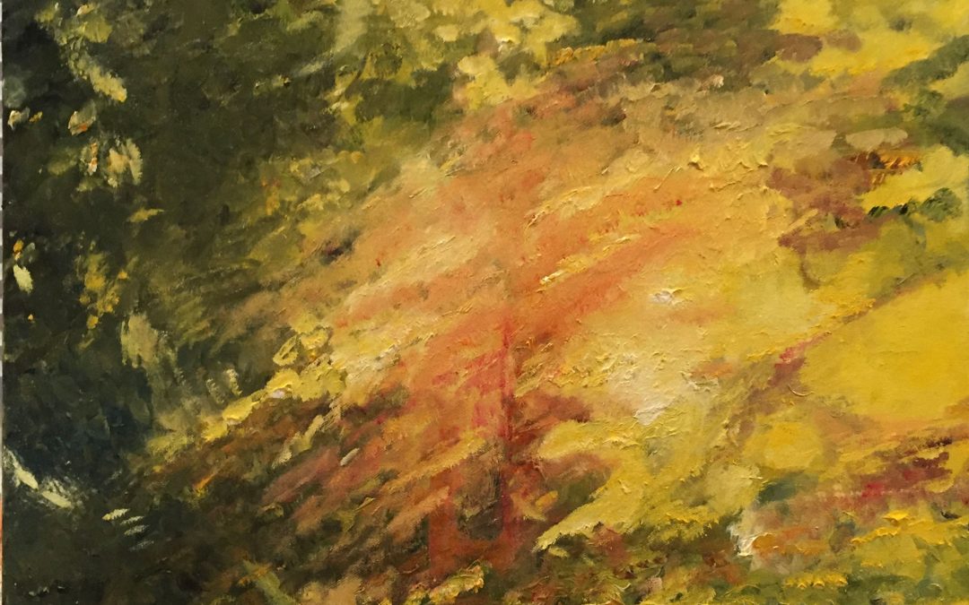 16 oils and acrylics