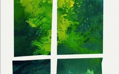 unripe fruit at the window – COMING SOON!